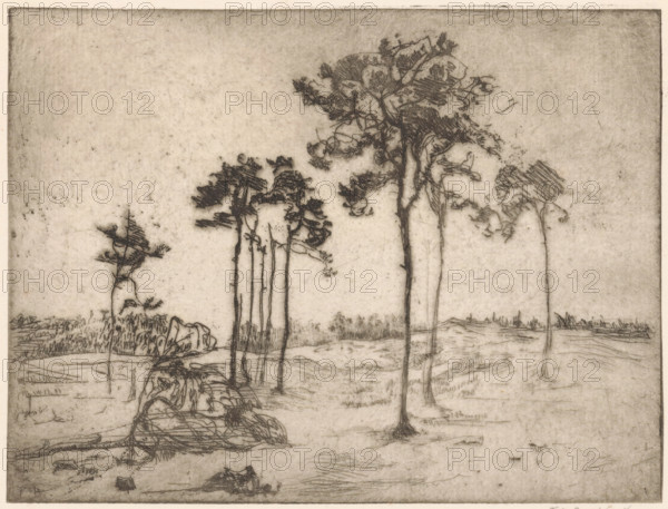 Trees, print, Trees in a rolling sandy landscape., printmaker: Frederika Henriëtte Broeksmit