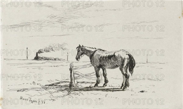 Horse in a meadow, print, Horse by a fence in a meadow. A steam train is driving on the horizon.,