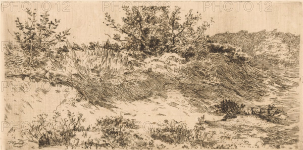 Dune landscape with grasses and shrubs, print, printmaker: Piet Egmond, 1874 - 1908, paper,