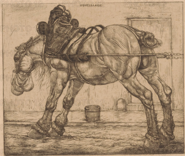 Draft horse with oat sack, L'Outillage (original series title on object), print, The horse is