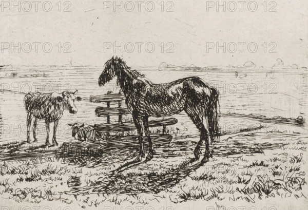 Meadow with a horse and two cows, print, A horse and a cow are standing by a fence in a meadow. A