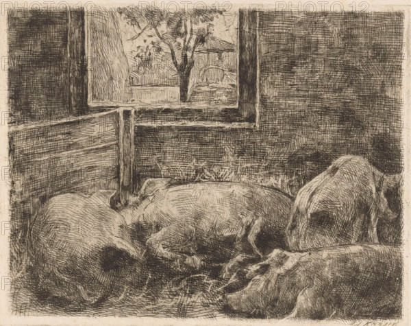 Pigs in a stable, print, printmaker: Eduard Karsen (signed by artist), 1870 - 1941, paper, Japanese
