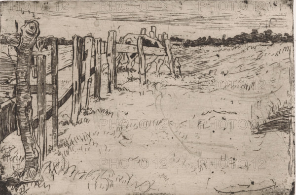 Grazing cow by a fence in a meadow, print, printmaker: Pieter Dupont, North Holland, 1895, paper,
