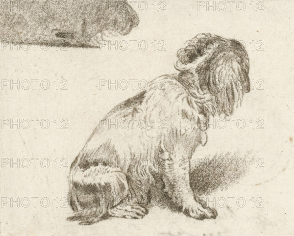 Sitting dog, print, inscription: '2 proef FvMieris del PvAmstel JC. F: 1775', printmaker: Cornelis