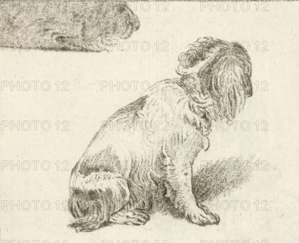Sitting dog, print, printmaker: Cornelis Brouwer, after drawing by Frans van Mieris, publisher: