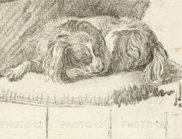 Lying dog, print, printmaker: Cornelis Brouwer, after drawing by Frans van Mieris, publisher: