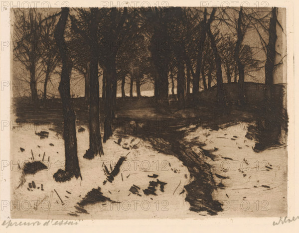 Landscape with trees in Ewijkshoeve, print, signature: 'Witsen', printmaker: Willem Witsen (signed