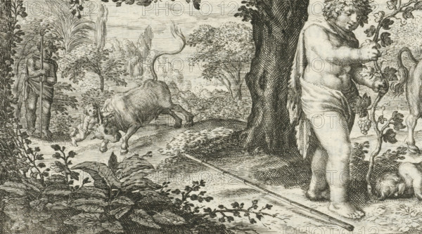 Bacchus and Ampelus, print, book illustration, Bacchus' favorite Ampelus is killed in a fall from a