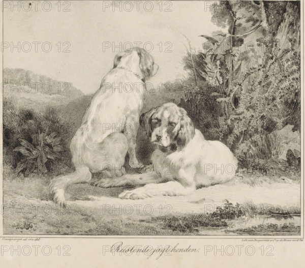 Resting hunting dogs, print, One dog sits with its back to the viewer, the second dog lies on the