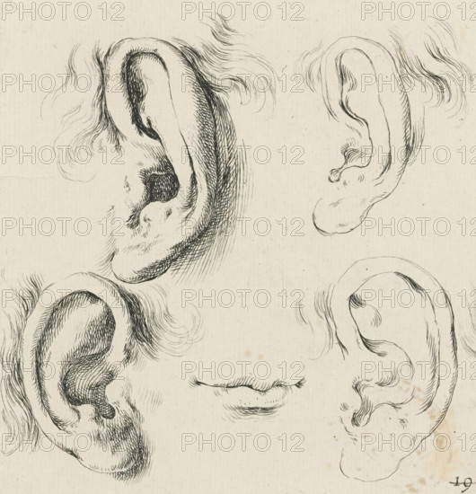 Four ears and a mouth, Collection of various pieces serving the art of portraiture, Drawing