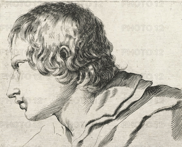 Head of a young man, turned to the left, Collection of various pieces serving the art of