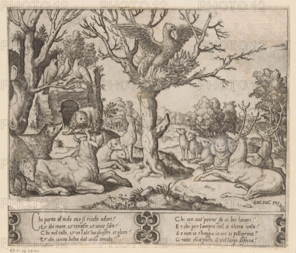 Phoenix, print, A self-immolating phoenix in a tree, surrounded by other animals including bears,