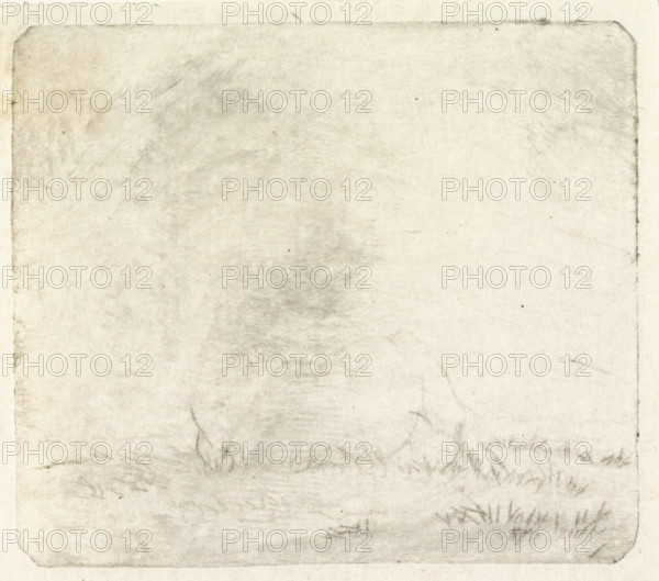 Lying cow, from the front, print, Faint print., printmaker: Pieter Janson, 1780 - 1851, inorganic