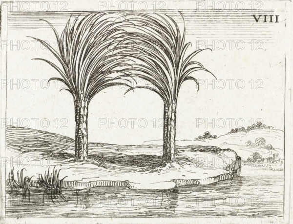 Two palm trees, Life of Mary in emblems, print, cognizance, Series number, 8, 26, Representation of