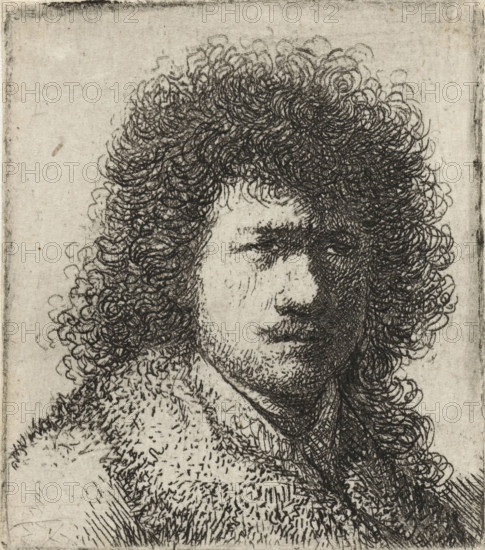 Self-portrait with bushy hair: bust, print, Self-portrait of Rembrandt with a large bush of curly