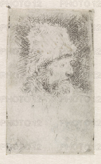 Old man with a flowing beard: bust, print, monogram and date: 'RHL 1631', printmaker: Rembrandt van