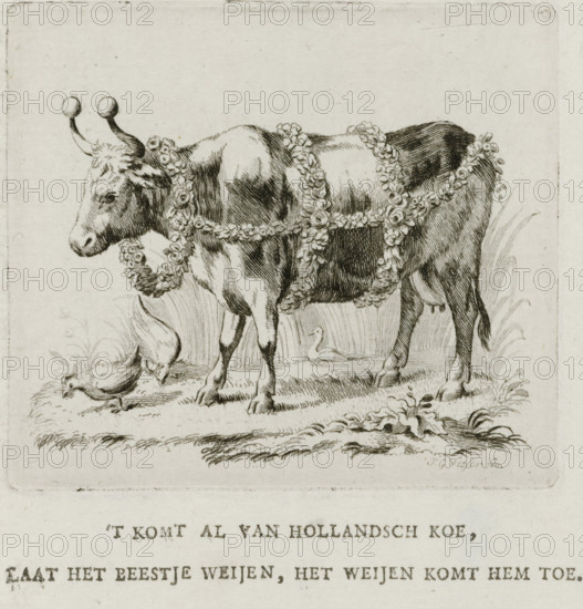 Dutch cow, 1787, print, book illustration, The Dutch cow, decorated as an Easter cow or guild ox