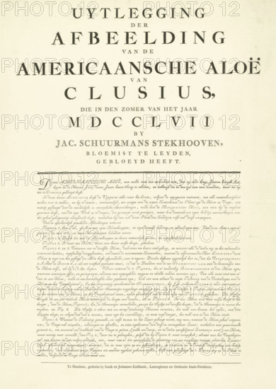 Explanation of the print of the flowering American Aloe, 1757, Explanation of the Illustration of