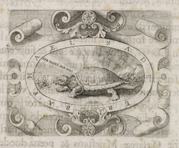 Turtle in a cartouche, print, book illustration, A cartouche with a turtle in a landscape and the