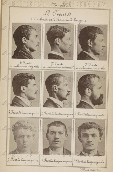 Le Front., Nine men's heads, arranged according to the shape of their foreheads, page,
