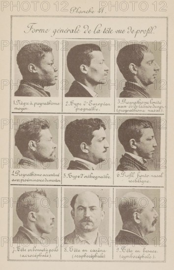 Forme générale de la tête vue de profil, Nine men's heads, arranged according to the shape of their