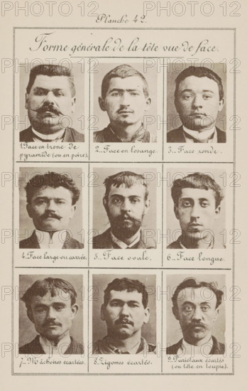 Nine male heads in front view, arranged according to the shape of their heads, Forme générale de la