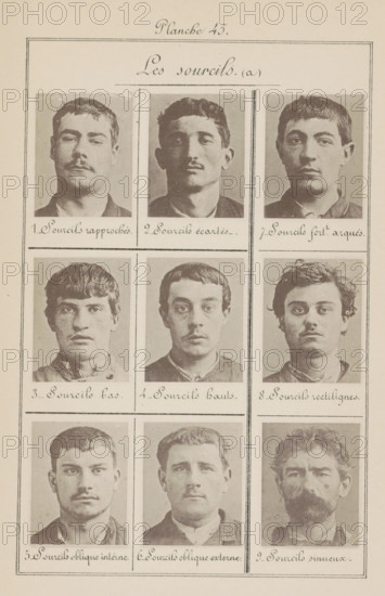 The eyebrows (a), Nine male heads in front view, arranged according to the shape of their eyebrows,