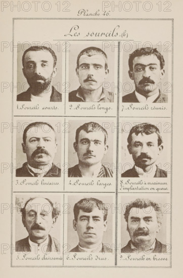 Nine male heads in front view, arranged according to the shape of their eyebrows, Les sourcils (b),
