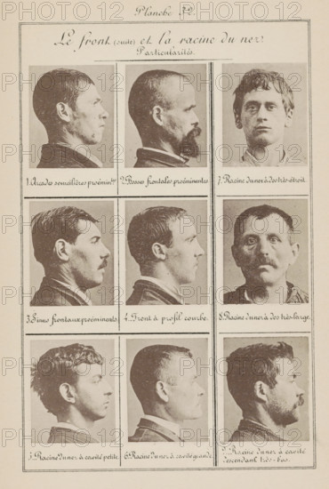 Le Front (suite) et la racine du nez. Particularités, Nine men's heads, arranged according to the