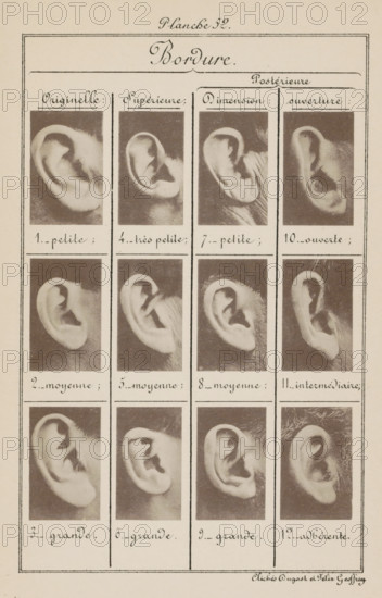 Twelve images of ears, arranged by shape, Bordure., page, photomechanical print, number: 'Planche