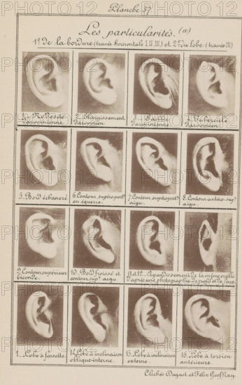 Sixteen images of ears, arranged by shape, Les particularités (a), page, photomechanical print,