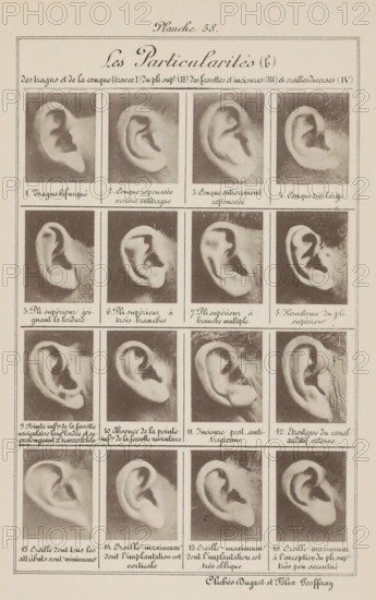 Sixteen images of ears, arranged by shape, Les particularités (b), page, photomechanical print,