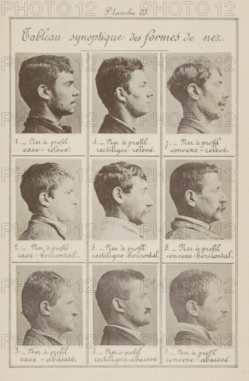 Nine male heads in side view, arranged according to the shape of their noses, Tableau synoptique