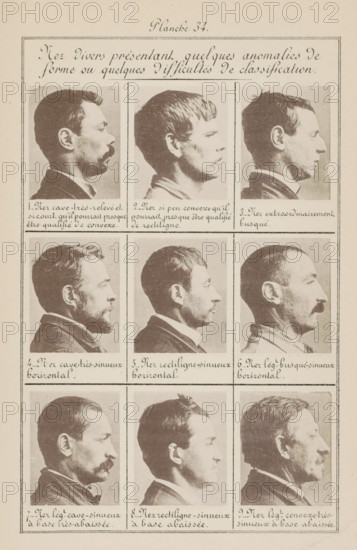 Nine male heads in side view, arranged according to the shape of their noses, Nez diverse present
