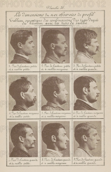 Les dimensions du nez observées de profil, Nine men's heads in side view, arranged according to the