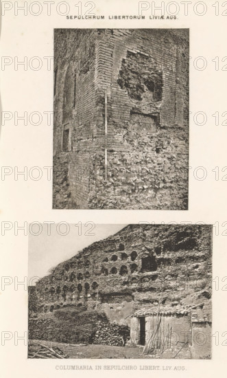 Columbaria in sepulchro libert. liv. Aug., Two views of probably the columbarium of the Vigna
