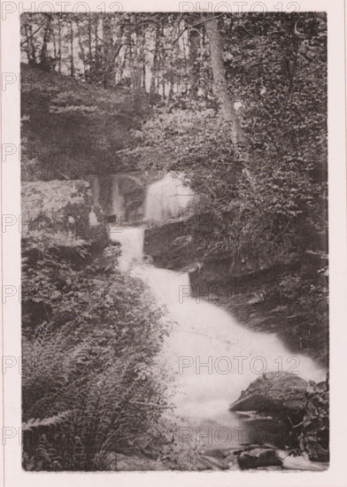 Waterfall in Fairy Dell, page, photomechanical print, c. 1890 - c. 1900, paper, collotype,
