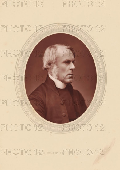 The bishop of London, page, photomechanical print, photographer: Lock & Whitfield, cliché maker: