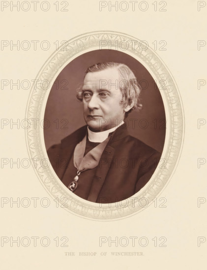 The bishop of Winchester, page, photomechanical print, photographer: Lock & Whitfield, cliché