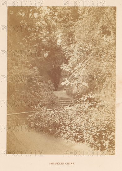 Shanklin Chine, photograph, page, photographer: William Russell Sedgfield, Shanklin, c. 1859 - in