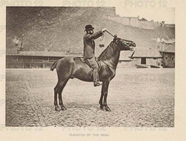Elevation of the head, Man on a horse lifting the horse's head with the reins, page,