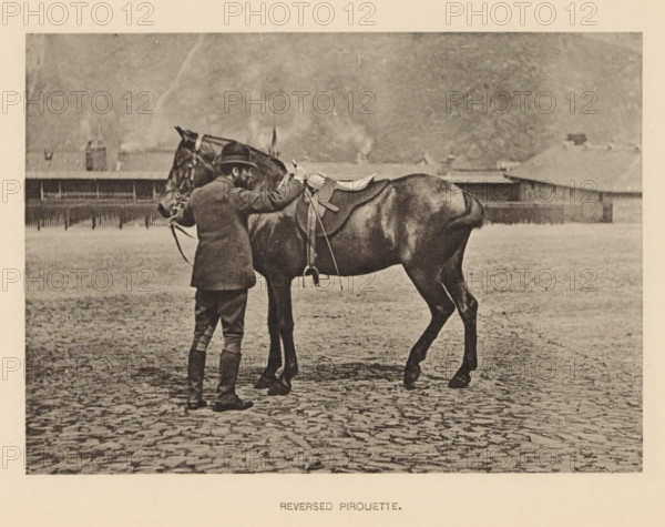Man in front of a horse, Reversed pirouette, page, photomechanical print, photographer: Alexander