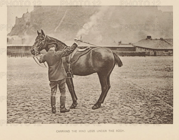 Carrying the hind legs under the body, Man next to a horse, page, photomechanical print,