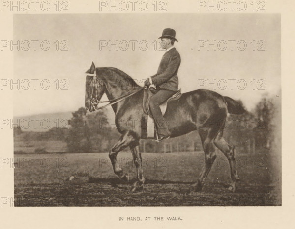 Man on a horse, In hand, at the walk, page, photomechanical print, cliché maker: Römmler & Jonas,