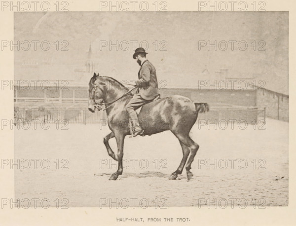 Man on a horse with one front leg up, Half-halt, from the trot, page, photomechanical print,