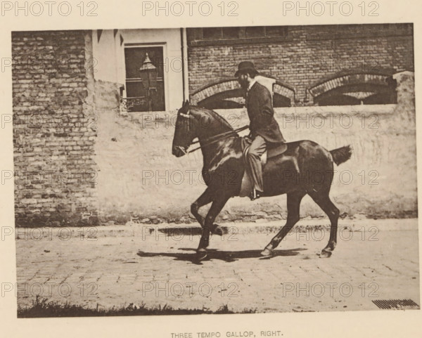Three tempo gallop, right, Man on a horse at a gallop, page, photomechanical print, photographer: