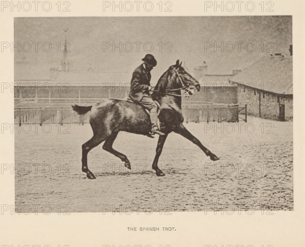 The Spanish trot, Man on a horse at Spanish trot, page, photomechanical print, photographer: