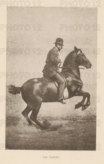 Man on a horse doing a curvet or box jump, The curvet, page, photomechanical print, cliché maker: