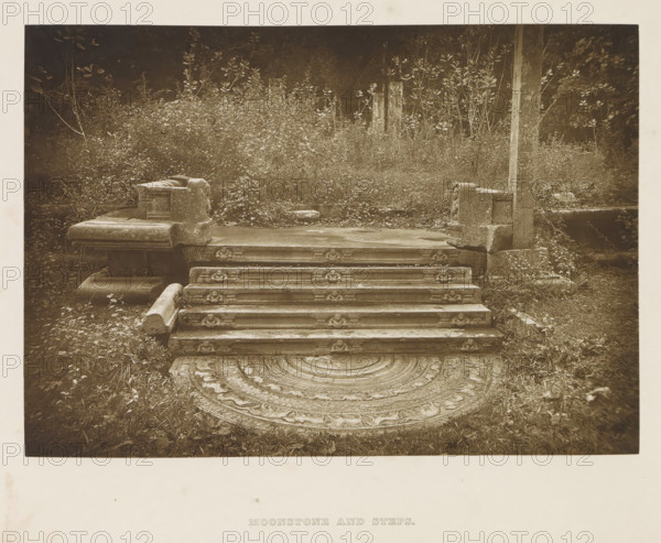 Moonstone and steps in front of the palace of King Mahasena at Anuradhapura, Sri Lanka, page,