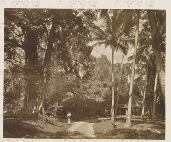 Resthouse at Nalanda Gedidge, Sri Lanka, page, photomechanical print, title: 'REST-HOUSE AT NALANDA